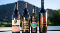 Why Every Wine Lover Should Have Arizona On Their Travel Wish List