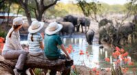 Here Are the 7 Best Wildlife Holiday Ideas You Can Use in 2023