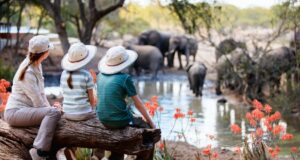 7 Best Wildlife Vacation Ideas In 2023