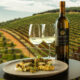 Elevating the Culinary and Viticultural Experience: Discovering the Essence of Excellence at Tokara Wine Estate