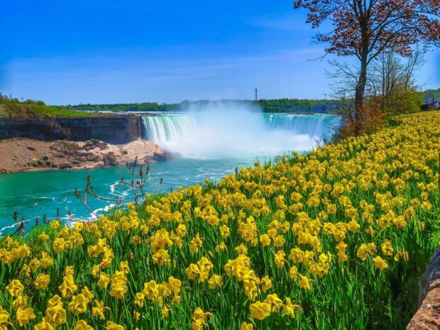 When Is the Best Time to Visit Niagara Falls? Tips for Planning Your Trip